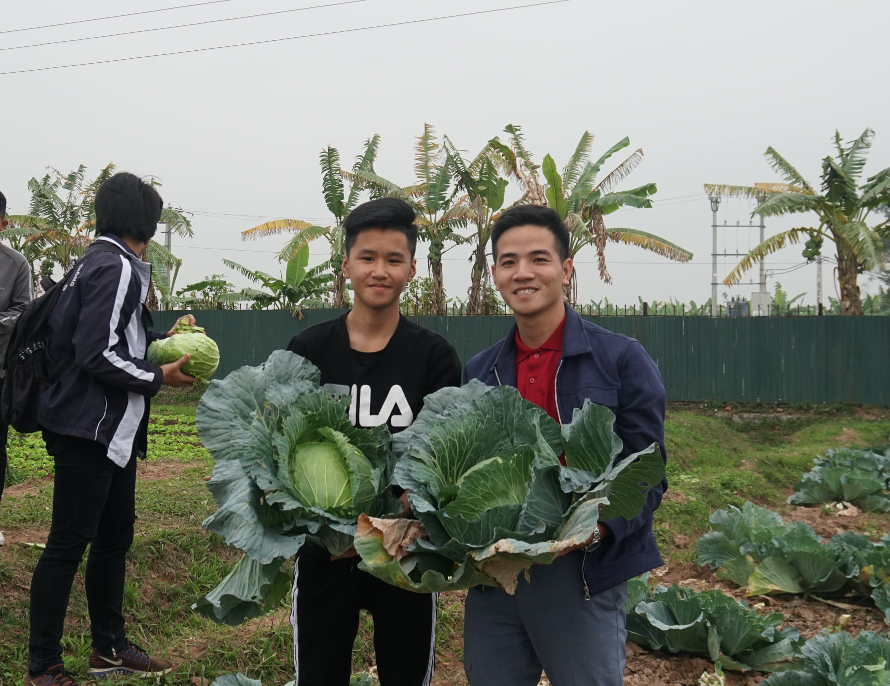 Chúng mình cùng đi hái rau chuẩn bị cho bữa trưa